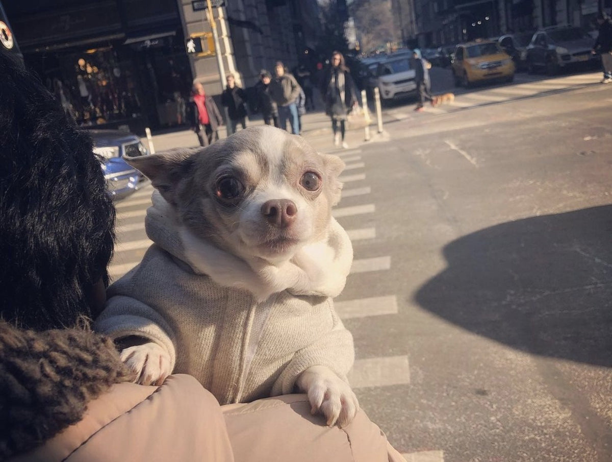 Lola